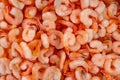 Frozen shrimps close-up