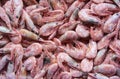 Frozen shrimps