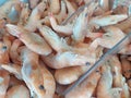 Frozen shrimps