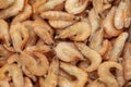 Frozen shrimps spread out evenly.