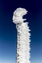 Frozen sign in the mountain