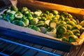 frozen sliced brussels sprouts on baking oven tray closeup