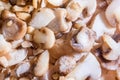 Frozen sliced mushrooms, champignons on the table. Vegetarian food