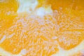 Frozen sliced orange Royalty Free Stock Photo