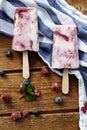 Frozen smoothie ice lolly