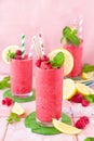 Frozen Smoothie, raspberry sherbet Royalty Free Stock Photo