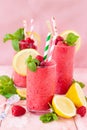 Frozen Smoothie, raspberry sherbet Royalty Free Stock Photo