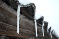 Frozen snow-covered icicles Royalty Free Stock Photo