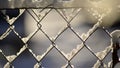 Frozen snow on a fence Royalty Free Stock Photo