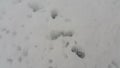 Frozen Snow Ice Texture - Top view texture of surface with grey ice covered in white snow Royalty Free Stock Photo