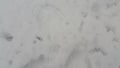 Frozen Snow Ice Texture - Top view texture of surface with grey ice covered in white snow Royalty Free Stock Photo