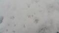 Frozen Snow Ice Texture - Top view texture of surface with grey ice covered in white snow Royalty Free Stock Photo