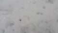 Frozen Snow Ice Texture - Top view texture of surface with grey ice covered in white snow Royalty Free Stock Photo