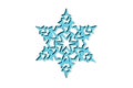 Frozen snowflake for Christmas design . Illustration