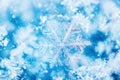 Frozen snowflakes on a bright blue frosty backdrop Royalty Free Stock Photo