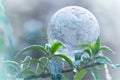 A frozen soap bubble