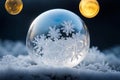 Frozen soap bubbles and ice crystals