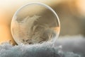 Frozen Soap water bubble