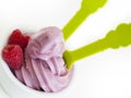 Frozen Soft-Serve Yogurt Royalty Free Stock Photo