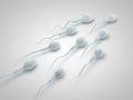 Frozen spermatozoon. 3D illustration of the sperm swimming to the ovule on white background. 3D illustration Royalty Free Stock Photo