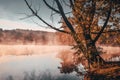 Frozen spider web during calm autumn morning near by lake with colorful trees Royalty Free Stock Photo