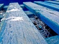 Blue palette with frozen spider webs Royalty Free Stock Photo