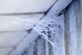 Frozen Spider Webs on the side of A house - below the soffit Royalty Free Stock Photo