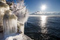 Frozen splashes on brunches of trees on the coast of Baikal lake with sun and clouds Royalty Free Stock Photo