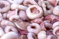 Frozen Squid Rings Isolated