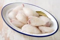 Frozen squids in dish on white background