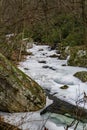 Frozen Stony Creek Royalty Free Stock Photo