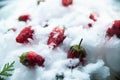 Frozen strawberries in the snow and ice