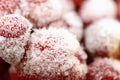 Frozen strawberry selectived focus Royalty Free Stock Photo