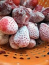 Frozen strawberry stacked closeup ,seasonal healthy food