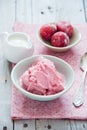 Frozen strawberry yogurt Royalty Free Stock Photo