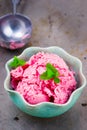 The frozen strawberry yogurt Royalty Free Stock Photo