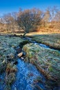 Frozen stream on a sunny winter day