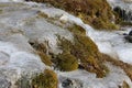 Frozen stream in Vall de Nuria Royalty Free Stock Photo