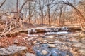 Frozen stream in the woods Royalty Free Stock Photo