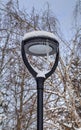 Frozen street light with icicles in cold winter day Royalty Free Stock Photo