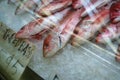 Fresh Market Fish On Ice