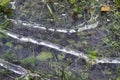 Frozen striped puddle in late autumn