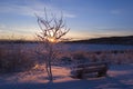 FROZEN: sunset Royalty Free Stock Photo