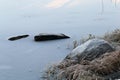 Frozen Surface of Lake Valkeinen and Hoarfrost on Plants in Kuopio, Finland