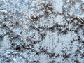 frozen surface of window glass closeup in winter Royalty Free Stock Photo