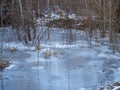 Frozen swamp. Winter begins. Thin ice on the pond