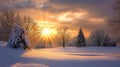 Frozen Tears and Radiant Sunshine: A Breathtaking Winter Landsca