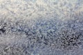 Frozen Texture Royalty Free Stock Photo