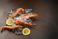 Frozen tiger shrimp on ice on a dark stone table Royalty Free Stock Photo