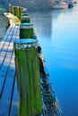 Frozen timber pier in winter Royalty Free Stock Photo